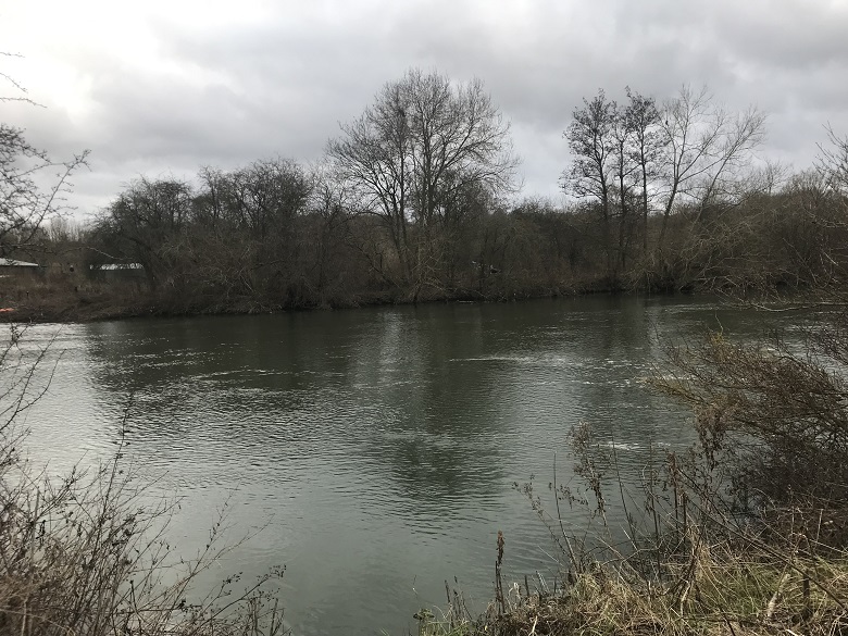 VIEW ACROSS SWIM